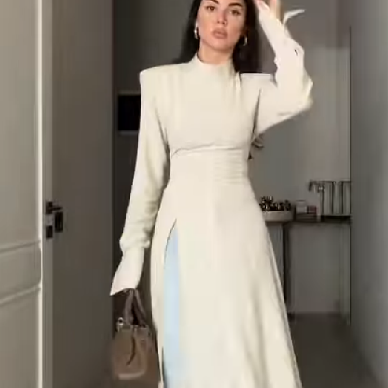 Women's Casual High Neck Long  - Women Formal Wear For Meeting 评论和价格